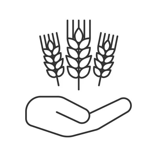 Otevřenou ruku s ikonou uši pšenice — Stockový vektor