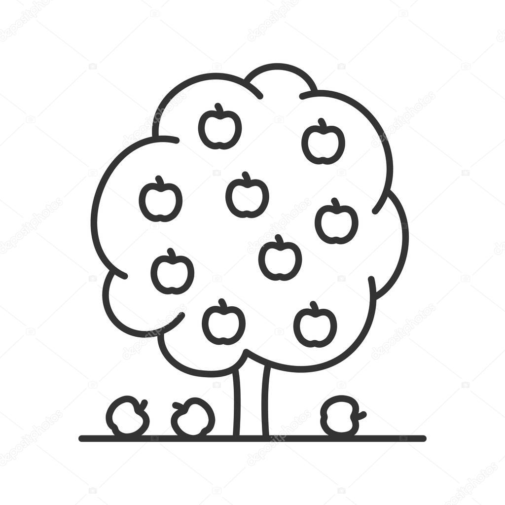 Fruit tree linear icon. Garden, park. Thin line illustration. Forestry contour symbol. Vector isolated outline drawing