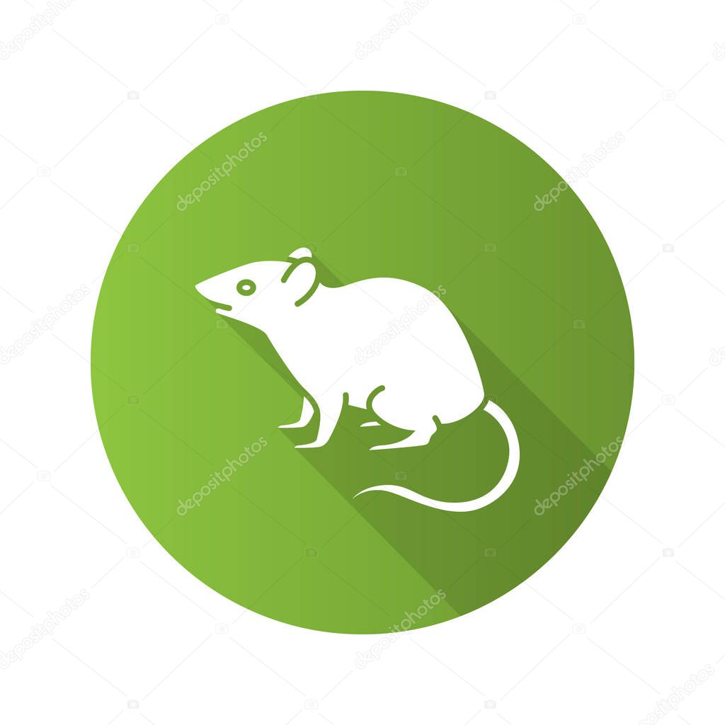 Rat flat design shadow glyph icon, vector silhouette illustration on green background