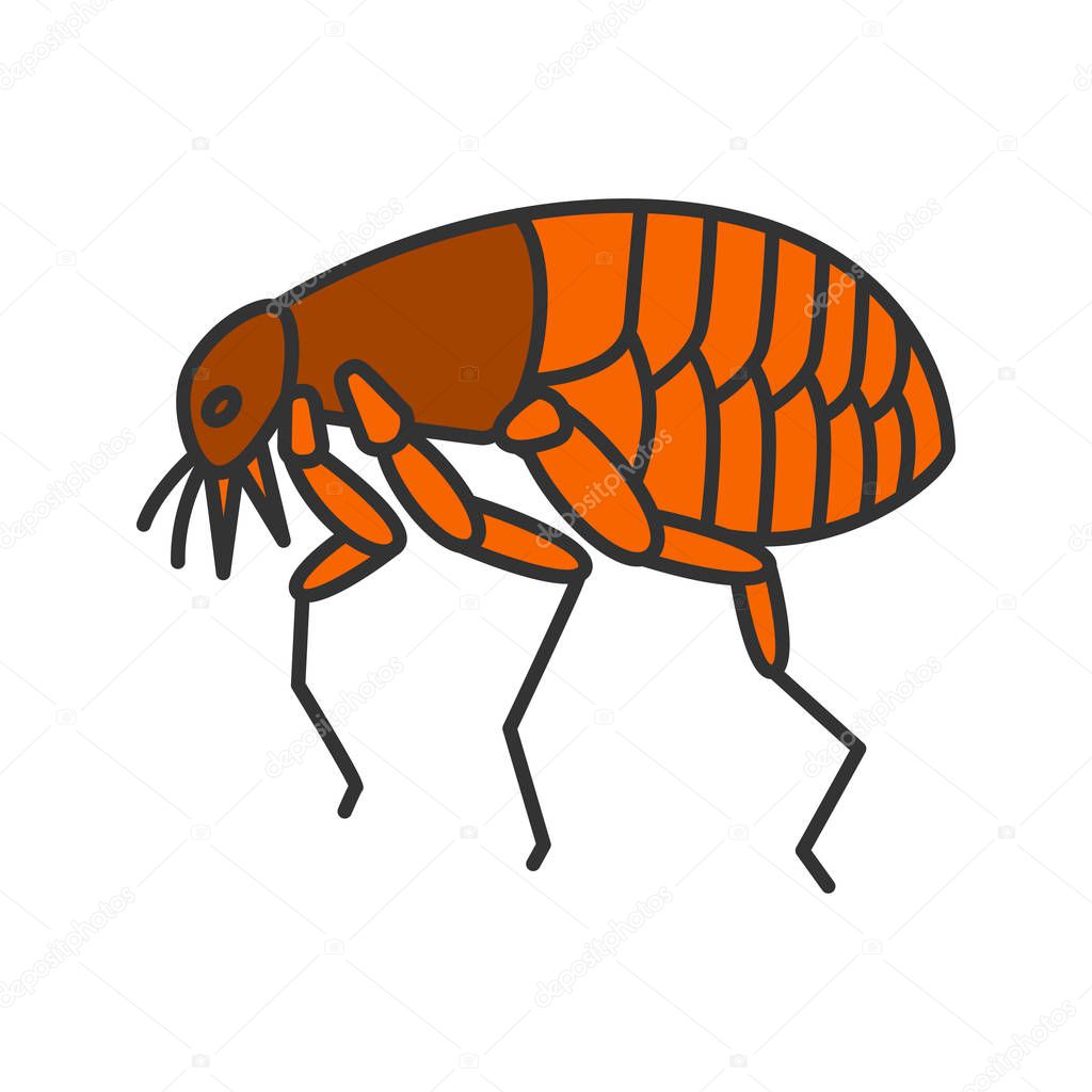 Flea color icon. Pets parasite. Isolated vector illustration