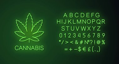 Marihuana yaprağı neon ışık banner şablon. Esrar. Web sitesi parlayan menü öğesi. İzole vektör çizim