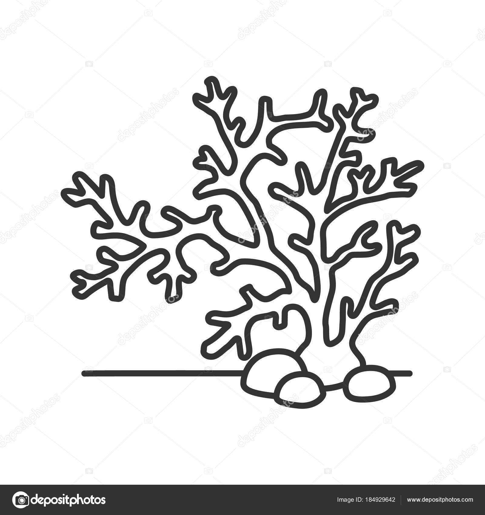 Akvarieplantens Lineære Ikon Korall Tang Tang Tynt Linjebilde Fiskebolle  Dekorasjon stockvektor © IMG visuals icons #184929642, image size:1600x1700