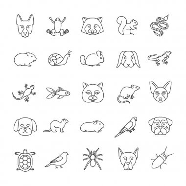 Evcil hayvan doğrusal Icons set. Egzotik hayvanlar. Kemirgenler, kuşlar, sürüngenler, böcekler, köpekler, kediler. İnce çizgi kontur sembolleri. İzole vektör anahat çizimler