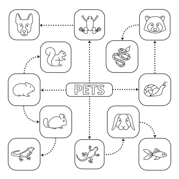 Mascotas Mapa Mental Con Iconos Lineales Esquema Concepto Animales Domésticos — Vector de stock