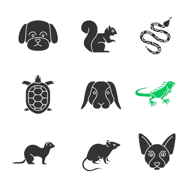 Huisdieren Glyph Iconen Set Maltese Hond Eekhoorn Python Tortoise Konijn — Stockvector