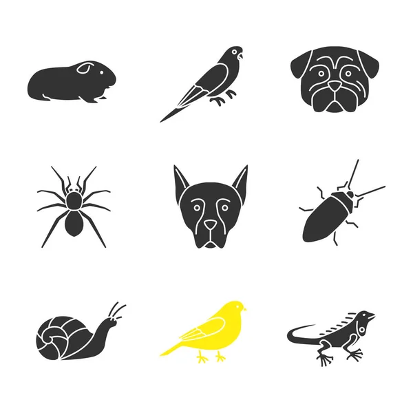 Haustiere Glyphen Symbole Gesetzt Wellensittich Mops Spinne Dobermann Pinscher Kakerlake — Stockvektor