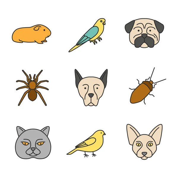 Pets Color Icons Set Cavy Budgerigar Pug Spider Doberman Pinscher — Stock Vector