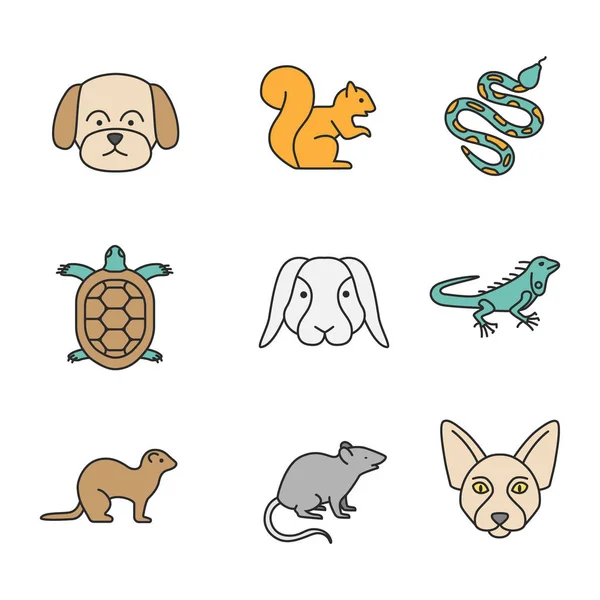 Huisdieren Kleur Iconen Set Maltese Hond Eekhoorn Python Tortoise Konijn — Stockvector