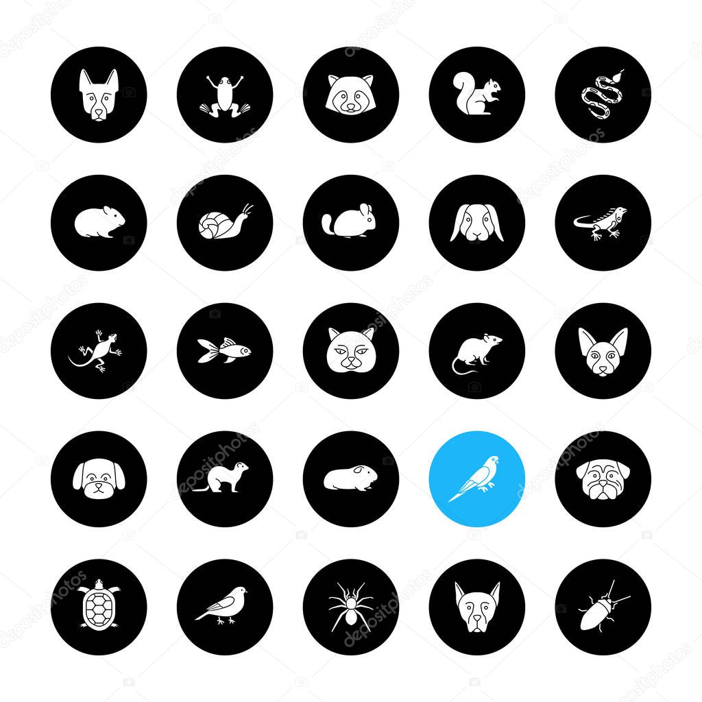 Pets glyph icons set. Exotic animals. Rodents, birds, reptiles, insects, dogs, cats. Vector white silhouettes illustrations in black circles