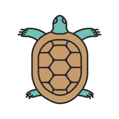Beyaz arka plan üzerinde izole kaplumbağa renkli simge