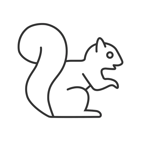 Σκίουρος Γραμμική Εικόνα Άσπρο Φόντο — Διανυσματικό Αρχείο