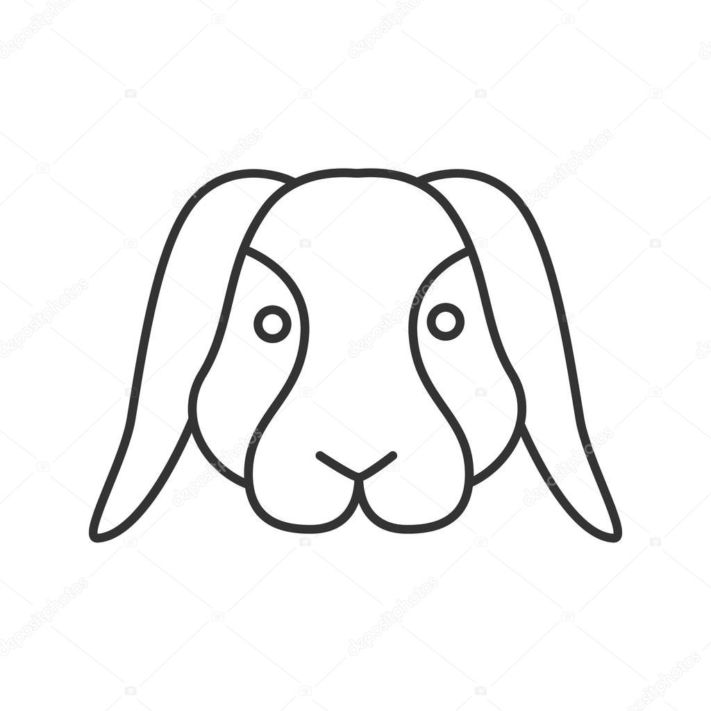Dwarf rabbit linear icon. Thin line illustration. Bunny. Hare. Contour symbol. Vector isolated outline drawing