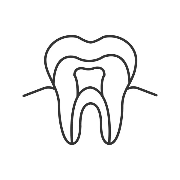 Estrutura Anatômica Dente Ícone Linear Fundo Branco —  Vetores de Stock