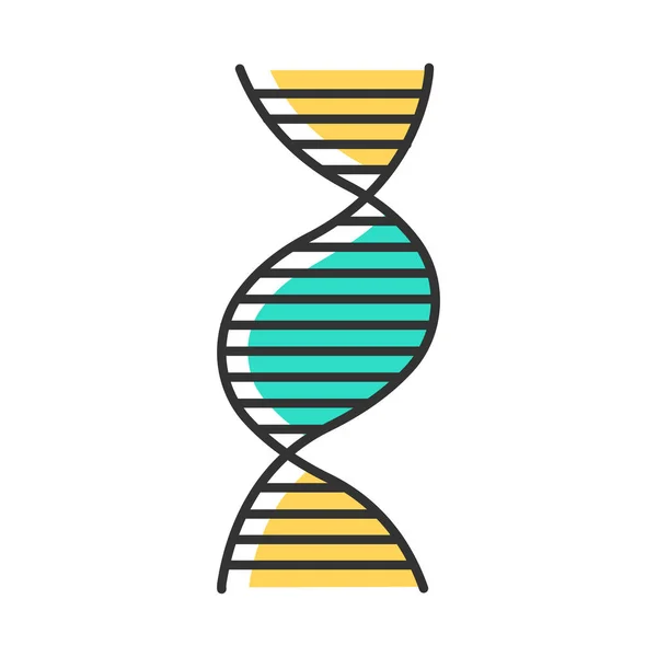 Icono de color hélice de ADN diestro. ADN B. Desoxirribonucleico, nucleico — Vector de stock