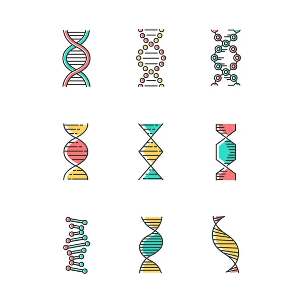 DNA spirály barevné ikony nastaveny. Deoxyribonukleové heli nukleové kyseliny — Stockový vektor