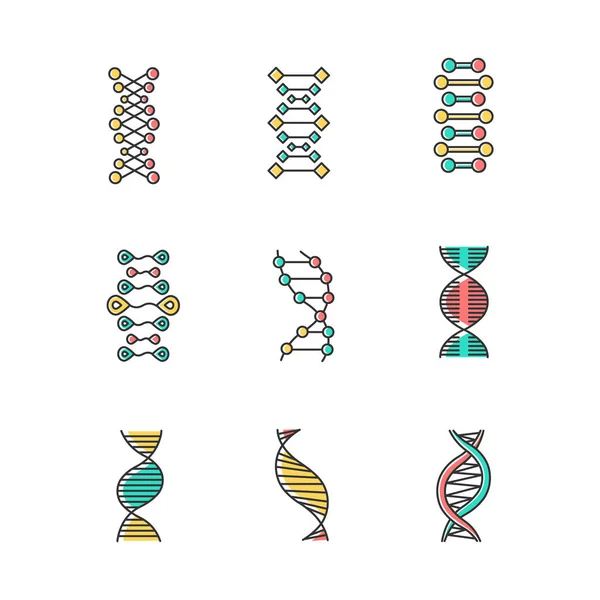DNA çift sarmal renk simgeleri ayarlandı. Deoksiribonükleik, nükleik asit — Stok Vektör