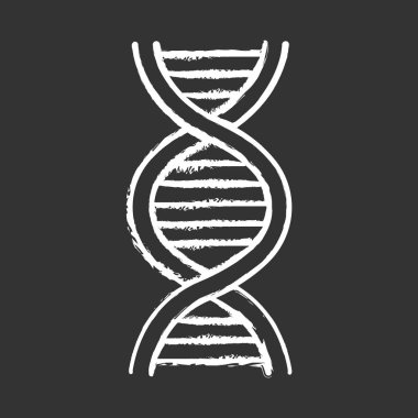 DNA sarmal tebeşir ikonu. Deoksiribonükleik, nükleik asit yapısı. Kaynayan iplikler. Kromozom. Moleküler biyoloji. Genetik kod. Genom. Genetik. İlaçlar. İzole edilmiş vektör karatahta çizimi
