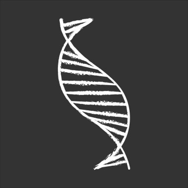 DNA sarmal tebeşir ikonu. Deoksiribonükleik, nükleik asit sarmal şeritleri. Kromozom. Moleküler biyoloji. Genetik kod. Genom. Genetik. İlaçlar. İzole edilmiş vektör karatahta çizimi