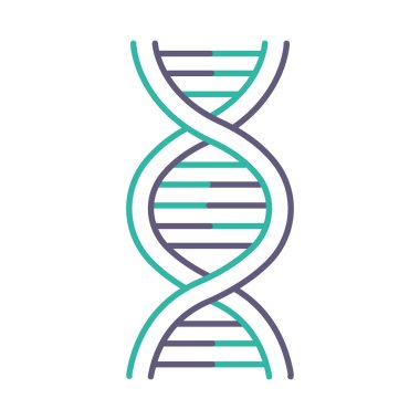 DNA sarmalı menekşe ve turkuaz renk ikonu. Deoksiribonükleik, nükleik asit yapısı. Kaynayan iplikler. Kromozom. Moleküler biyoloji. Genetik kod. Genom. Genetik. İzole vektör illüstrasyonu