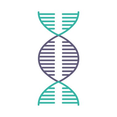 DNA spiral menekşe ve turkuaz renk ikonu. Deoksiribonükleik, nükleik asit sarmalı. Kaynayan iplikler. Kromozom. Moleküler biyoloji. Genetik kod. Genom. Genetik. İzole vektör illüstrasyonu