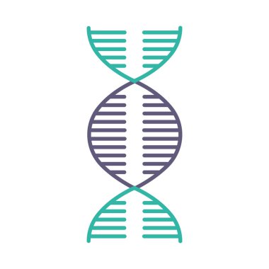 DNA spiral violet and turquoise color icon. Deoxyribonucleic, nucleic acid helix. Spiraling strands. Chromosome. Molecular biology. Genetic code. Genome. Genetics. Isolated vector illustration clipart