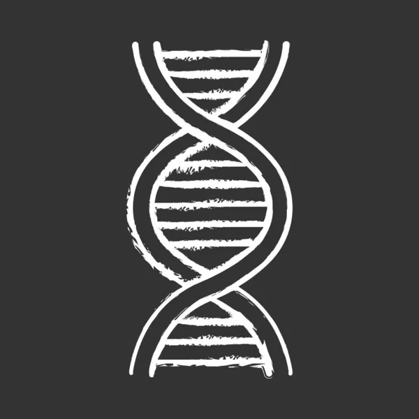 Dna Helix Kreide Icon Desoxyribonukleinsäure Nukleinsäurestruktur Spiralstränge Chromosom Molekularbiologie Genetischer — Stockvektor