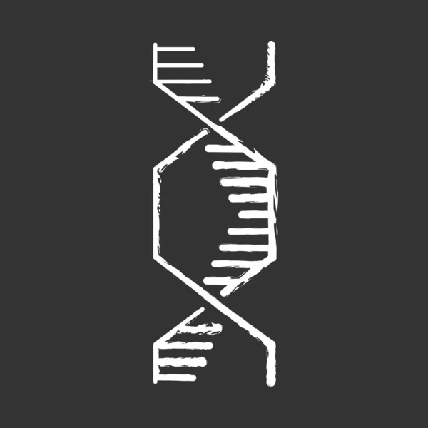 Sechseckige Dna Helix Kreide Ikone Desoxyribonukleinsäure Nukleinsäurestruktur Spiralstränge Chromosom Molekularbiologie — Stockvektor