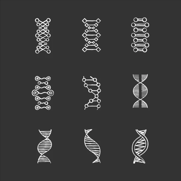 Dna Double Helix Kreide Icons Set Desoxyribonukleinsäure Nukleinsäure Spiralstränge Chromosom — Stockvektor