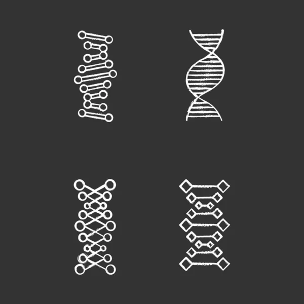 Dna Ketten Kreide Symbole Gesetzt Desoxyribonukleinsäure Nukleinsäurehelix Spiralstränge Chromosom Molekularbiologie — Stockvektor