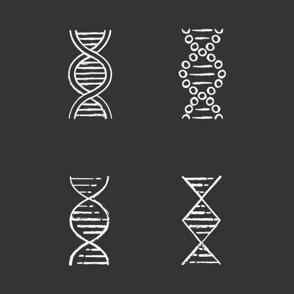 Dna Spiralstränge Kreide Symbole Gesetzt Desoxyribonukleinsäure Nukleinsäurehelix Spiralstränge Chromosom Molekularbiologie — Stockvektor