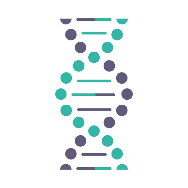 ДНК спиральный фиолетовый и бирюзовый цвет значок. Связанные точки, линии. Дезоксирибонуклеиновая спираль нуклеиновой кислоты. Спиральные нити. Хромосома. Молекулярная биология. Генетический код. Изолированная векторная иллюстрация
