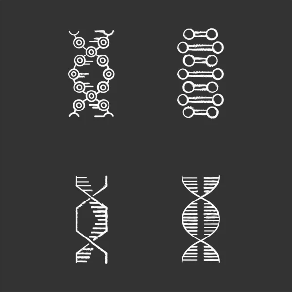 Dna Spiralketten Kreide Ikonen Gesetzt Desoxyribonukleinsäure Nukleinsäurehelix Spiralstränge Chromosom Molekularbiologie — Stockvektor