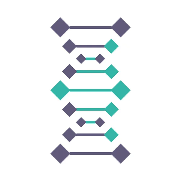 Łańcuchy Dna Fioletowy Turkusowy Kolor Ikony Dezoksyrybonukleinowa Spirala Kwasu Nukleinowego — Wektor stockowy