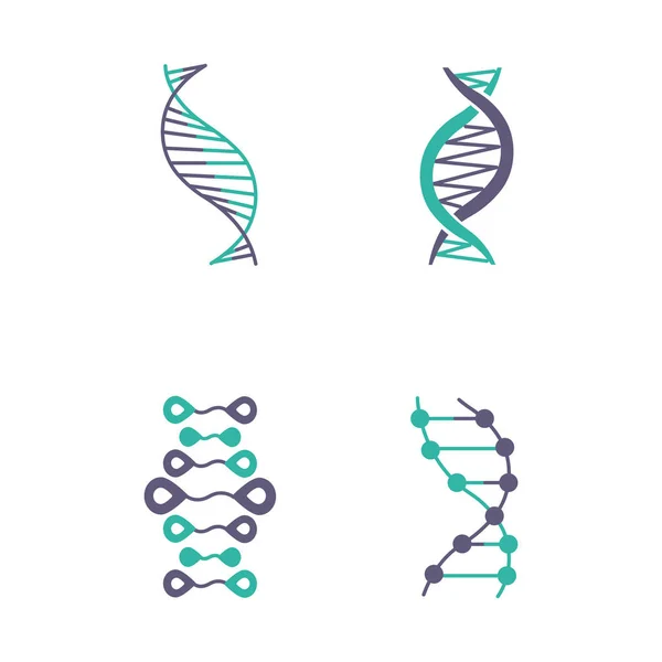 Dnaは紫とターコイズの色のアイコンをセットします デオキシリボ核酸ヘリックス螺旋状の鎖染色体 分子生物学遺伝子コードゲノム 遺伝学絶縁ベクトルイラスト — ストックベクタ