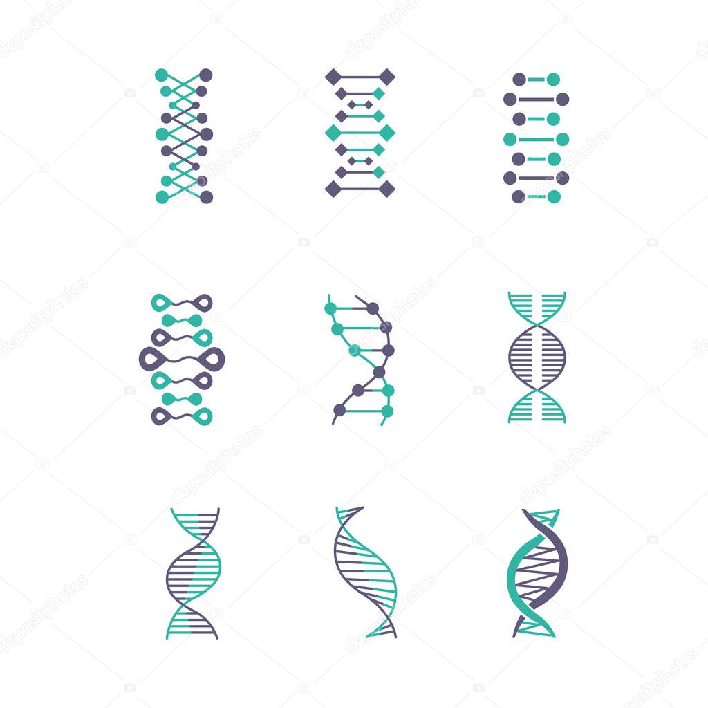 DNA double helix violet and turquoise color icons set. Deoxyribonucleic, nucleic acid structure. Chromosome. Molecular biology. Genetic code. Genome. Genetics. Medicine. Isolated vector illustrations