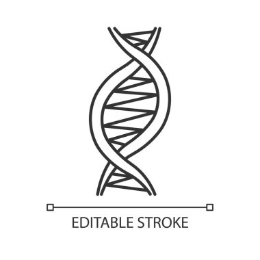 Left-handed DNA helix linear icon. Z-DNA. Deoxyribonucleic, nucleic acid structure. Genetic code. Genetics. Thin line illustration. Contour symbol. Vector isolated outline drawing. Editable stroke clipart