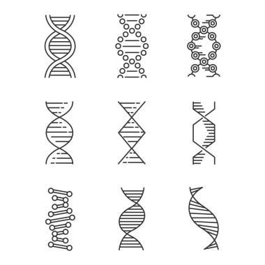 DNA spirals linear icons set. Deoxyribonucleic, nucleic acid helix. Molecular biology. Genetic code. Genetics. Thin line contour symbols. Isolated vector outline illustrations. Editable stroke clipart