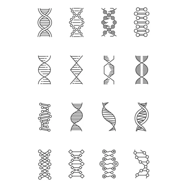 Zestaw Ikon Liniowych Dna Helix Dezoksyrybonukleinowa Struktura Kwasu Nukleinowego Chromosom — Wektor stockowy