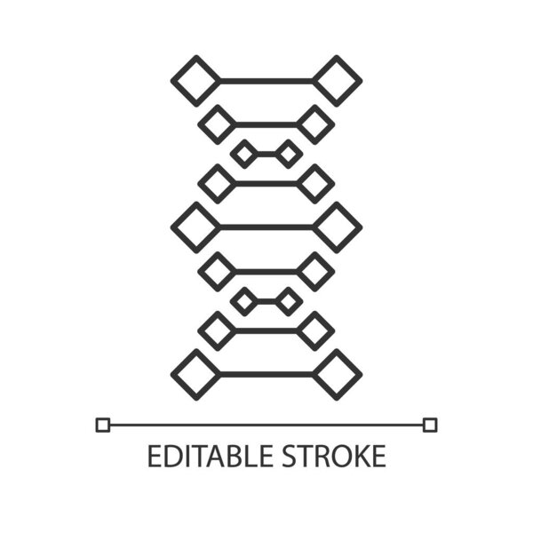 DNA chains linear icon. Deoxyribonucleic, nucleic acid helix. Molecular biology. Genetic code. Genetics. Thin line illustration. Contour symbol. Vector isolated outline drawing. Editable stroke