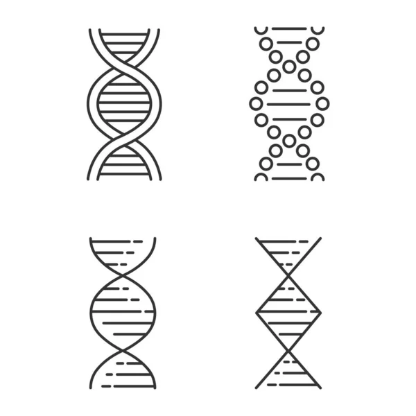 Fio Espiral Dna Conjunto Ícones Lineares Hélice Ácido Nucleico Desoxirribonucleico — Vetor de Stock