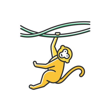 Monkey on liana color icon. Tropical country animal, mammal. Exploring exotic Indonesian wildlife. Primate hanging on branch. Visiting Balinese forest fauna. Isolated vector illustration