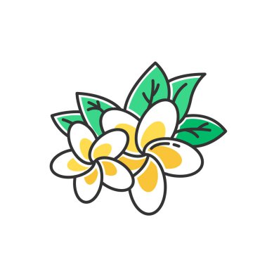 Plumeria yellow color icon. Exotic region flowers. Flora of Indonesian forests. Small tropical plants. Blossom of frangipani with leaves. Nature of Bali. Isolated vector illustration