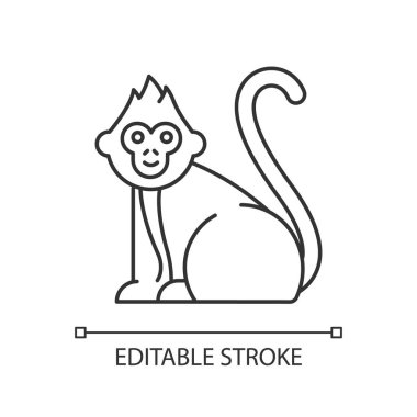 Baby monkey linear light icon. Tropical country animal. Indonesian islands wildlife. Cute primate sitting. Thin line illustration. Contour symbol. Vector isolated outline drawing. Editable stroke
