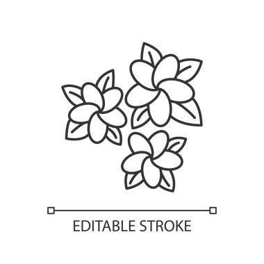 Plumeria linear light icon. Three exotic region flowers. Small tropical plants. Blossom of frangipani. Thin line illustration. Contour symbol. Vector isolated outline drawing. Editable stroke