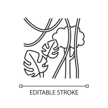 Yağmur ormanı bitkileri doğrusal ışık simgesi. Evergreen orman sarmaşıkları. İsviçre peyniri ve liana. Endonezya ormanı. İnce çizgili çizim. Contour sembolü. Vektör izole çizim. Düzenlenebilir vuruş