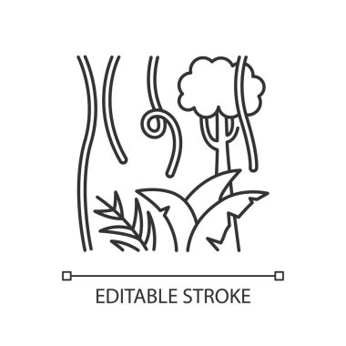 Yağmur ormanı bitkileri doğrusal ışık simgesi. Evergreen ağaçları, asmalar. İsviçre peyniri ve liana. Endonezya doğası. İnce çizgili çizim. Contour sembolü. Vektör izole çizim. Düzenlenebilir vuruş