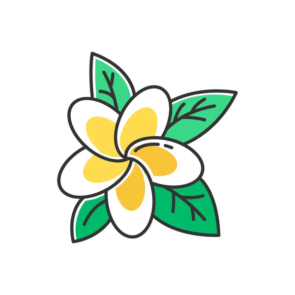 Plumeria Yellow Color Icon Exotic Region Flowers Flora Indonesian Islands — Stock Vector