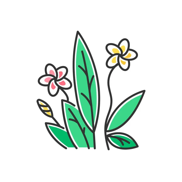 プルメリアピンクと黄色のアイコン エキゾチックな地域の花 インドネシアのジャングルの花 小さな熱帯植物 葉を持つフランジパニの花 バリの自然 分離ベクトル図 — ストックベクタ