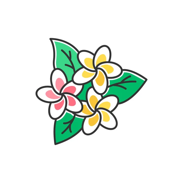 Plumeria Inflorence Color Icon Экзотические Региональные Цветы Флора Индонезийских Джунглей — стоковый вектор