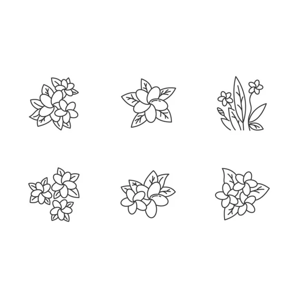 Plumeria Linear Icons Set Exotic Region Flowers Flora Indonesian Islands — Stock Vector